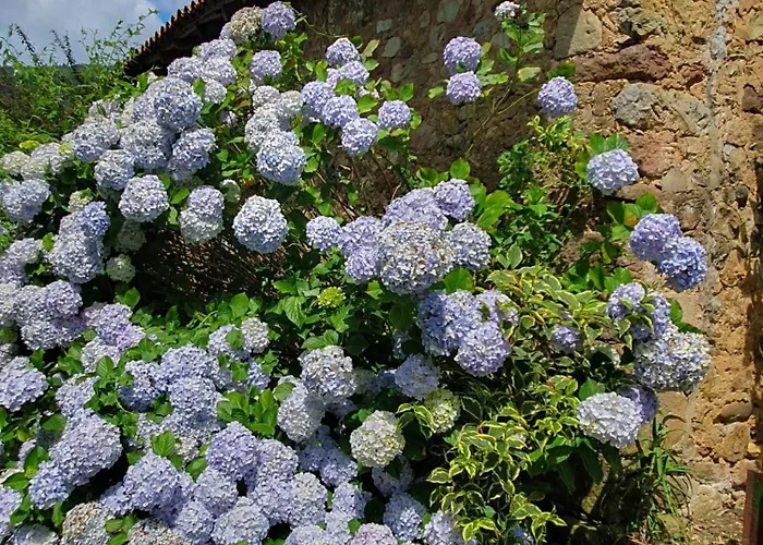 Casa Candidita Hébergement de vacances *