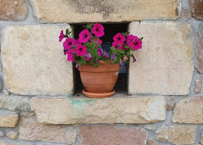 Hébergement de vacances Casa Candidita Vargas